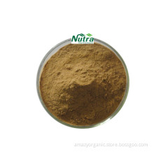 Organic Leek Seed Extract Powder